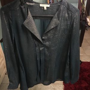 Francesca’s shiny top. Worn once!
